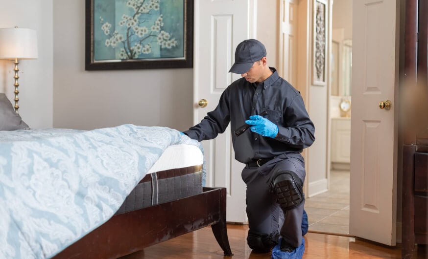 Bed Bug Control